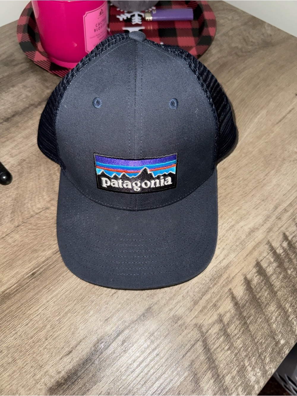 Patagonia Navy Trucker Hat with Multicolor Mountain Logo